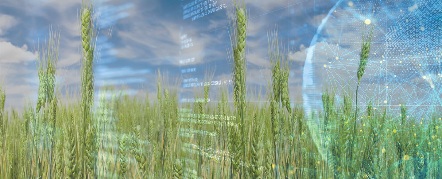 2018 annual report cover featuring a wheat field.