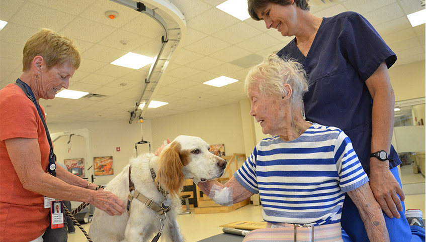 Pet therapy dog Ginger visiting patients.