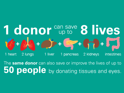Organ Donation infographic.