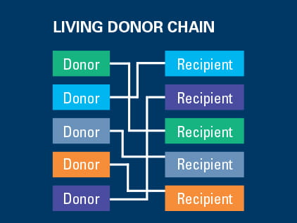 Living Kidney Donor Chain