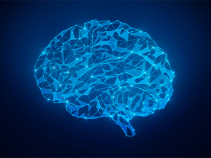 Brain