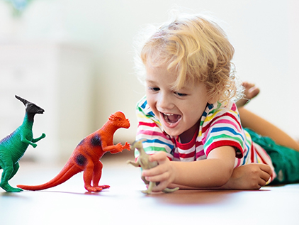 Boy playing with toy dinosaurs. 