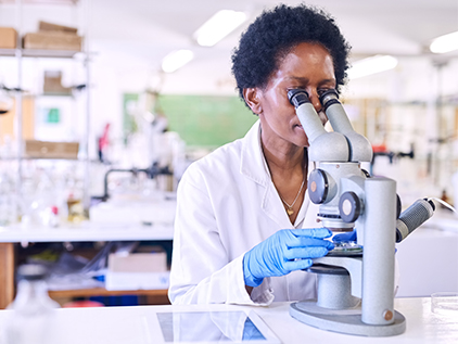 Researchers looking into microscope.