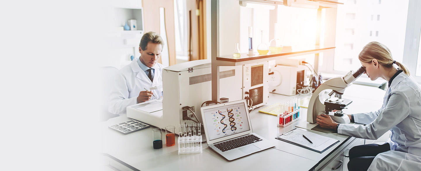 Researchers working in lab.