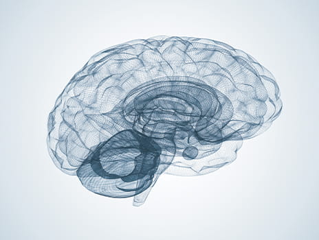 3D illustration of a human brain