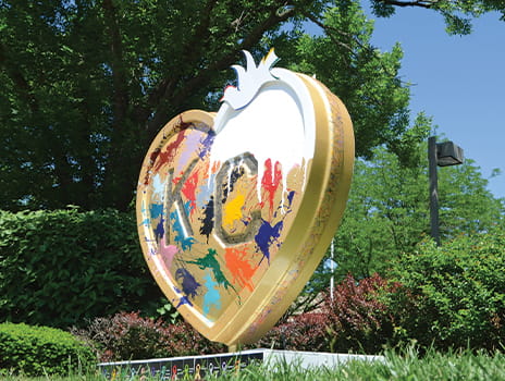 Lynn Meredith's heart, "Kansas City Conquering Cancer"